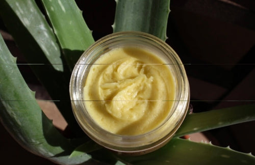 Anti Aging Night Cream Face Moisturizer Organic Green Tea